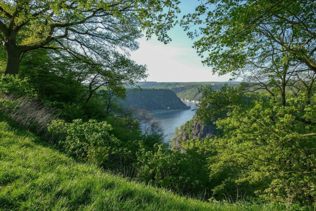 Loreley